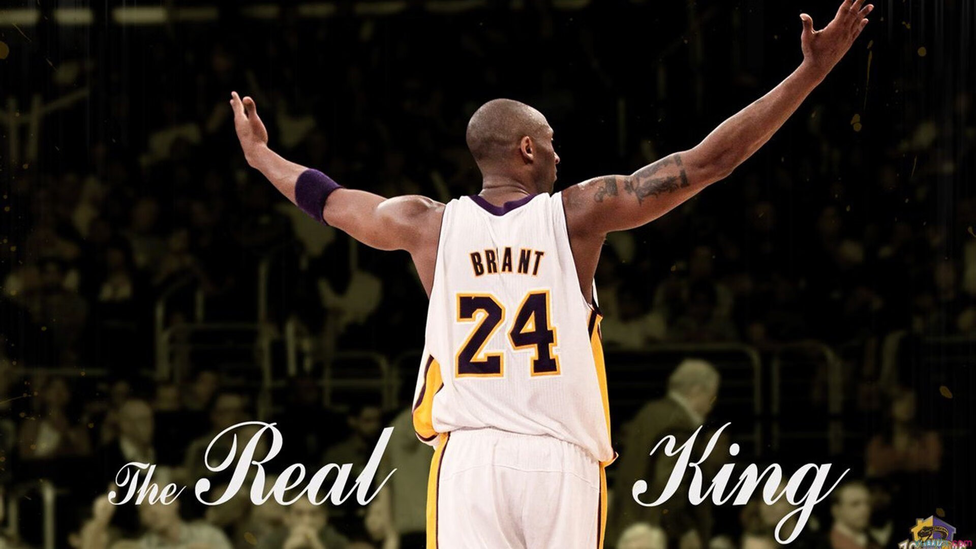 开云体育登录网站入口-《全球电竞市场突破50亿美元,亚太地区领跑行业增长》,全球电竞产业规模