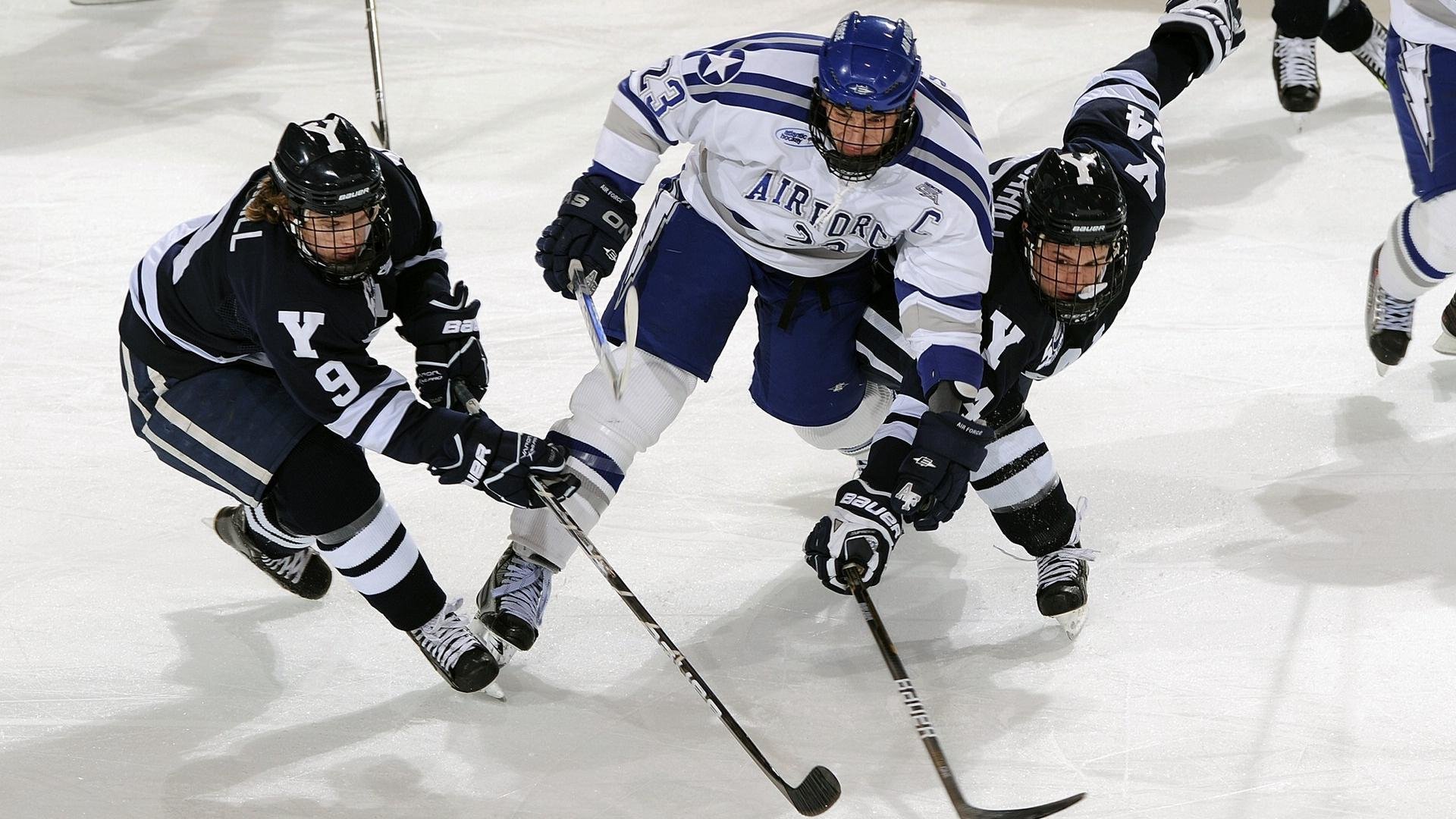 开云官方-体育+文化融合创新,推动青少年多元发展新格局,体育文化的融合