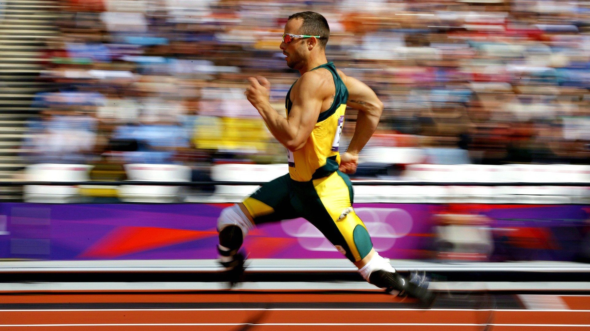 巴西马术协会引入智能马鞍系统,实现实时数据监测与分析,提升骑乘体验。